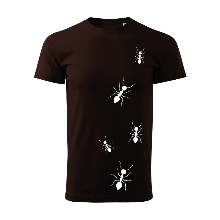 Ants